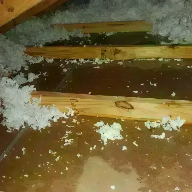 Attic Water Damage in Warden, WA