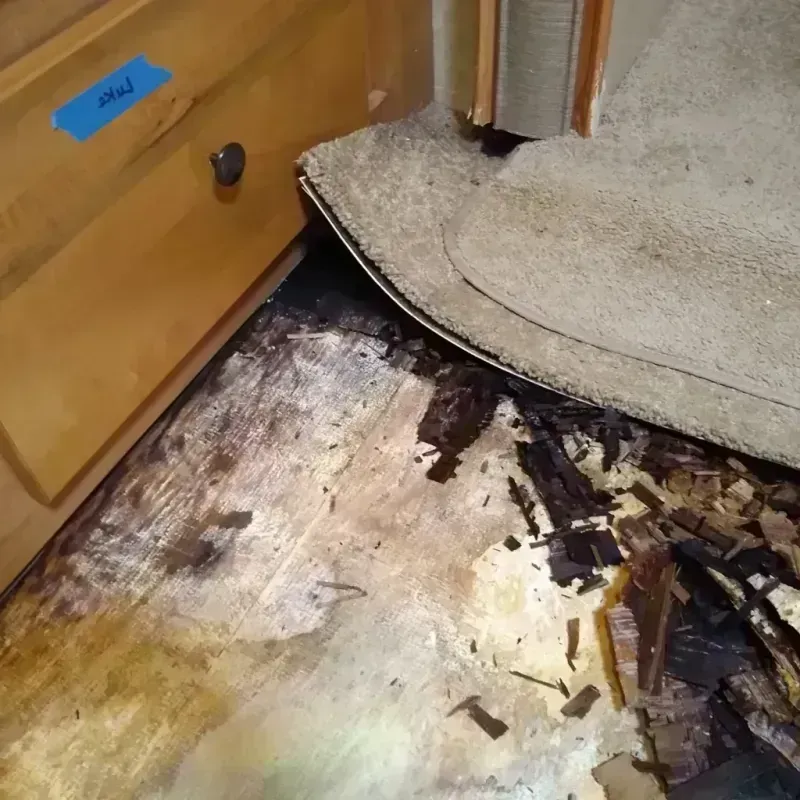 Best Wood Floor Water Damage Service in Warden, WA